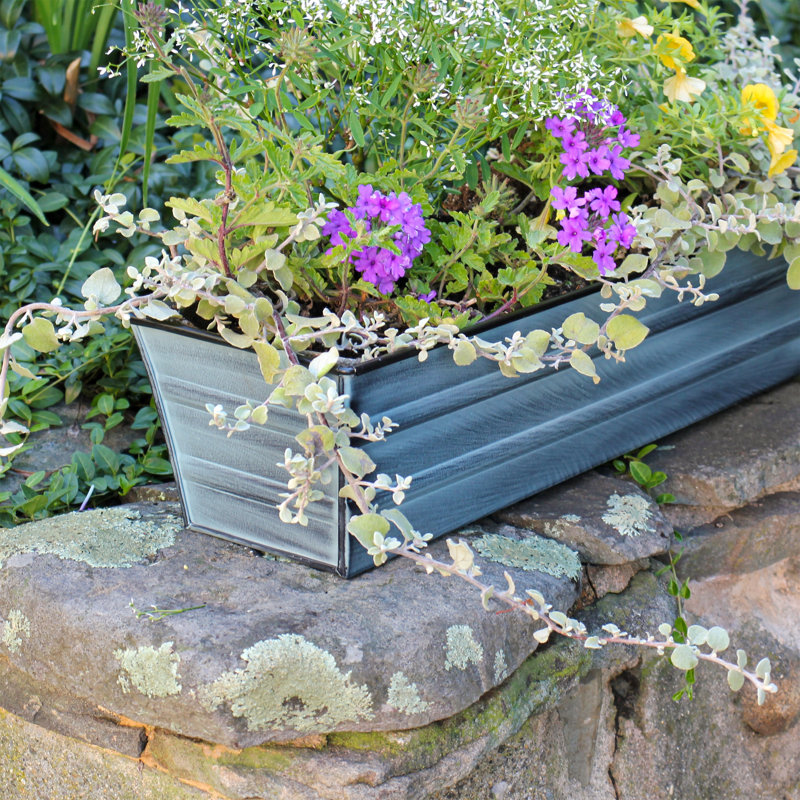 Small Blue Galvanized Metal Wall-Mounted Planter Box