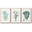 Antique Coastal Coral X, impression sur toile 3 pièces-91887653-91887654