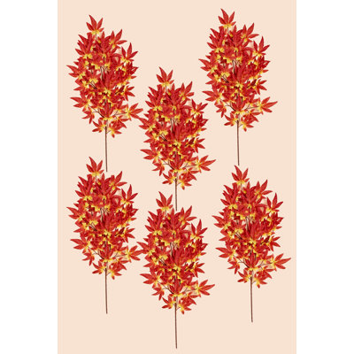 Jets de feuilles d'érable japonais