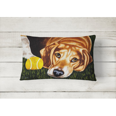 Outdoor Throw Pillow