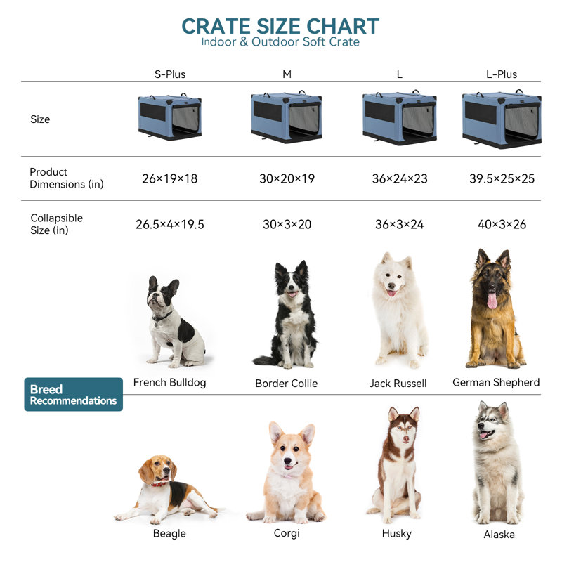 Caisse pour animaux Dejenae, Petit (H 30 po x l 19 po x P 20 po)