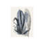 Tonton II Print by Elle Youngstrom-26928234-26928241