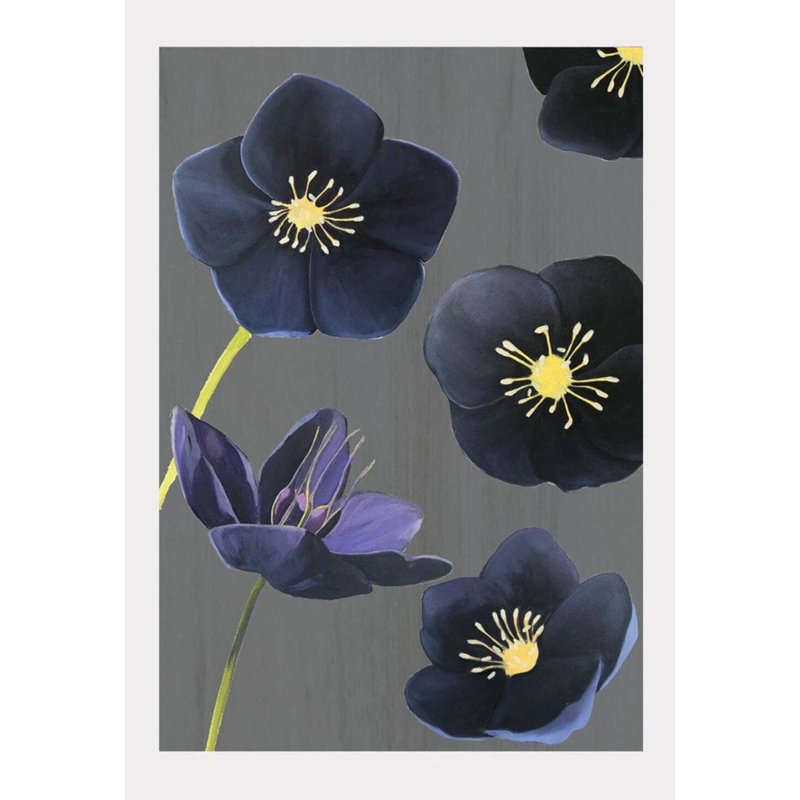Black Hellebore Print, Charcoal, 19" H x 13" W