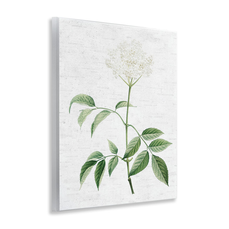 Subtle Neutral Flower Wall Plaque Art by Lettered and Lined