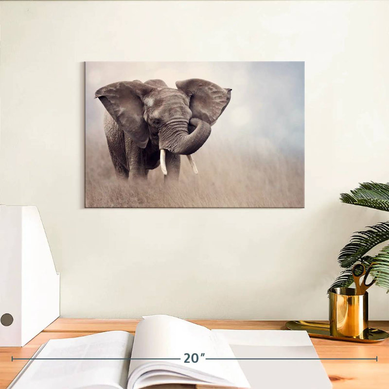 Brampt Young Savanna Elephant
