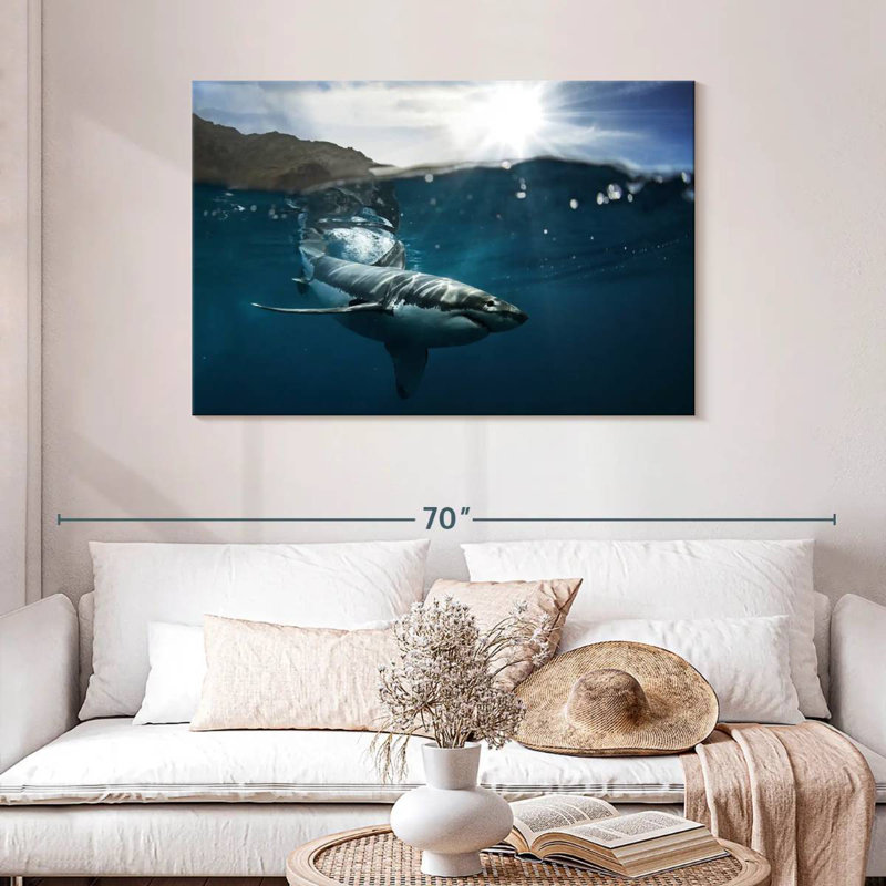 Brampt Shark Sunshine, 30" H x 45" W