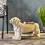 Banc pour chien Mgo (sans la table)-1849580445