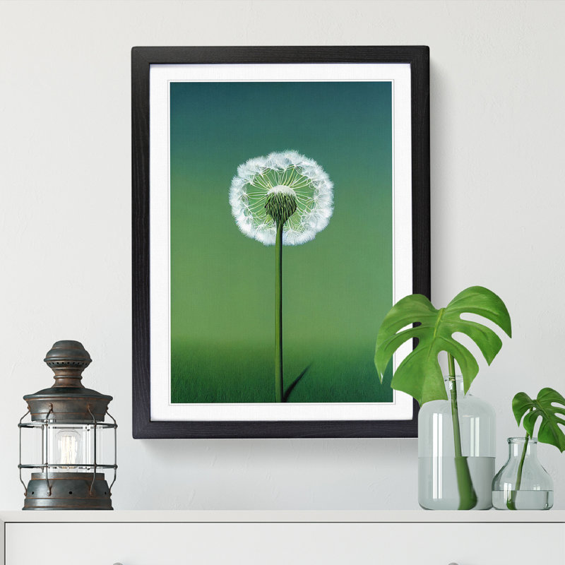 Single Dandelion - Single Picture Frame Print, Black, 64cm H x 46cm W x 2cm D