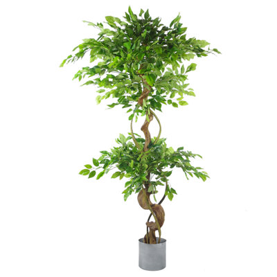 Faux Ficus Tree