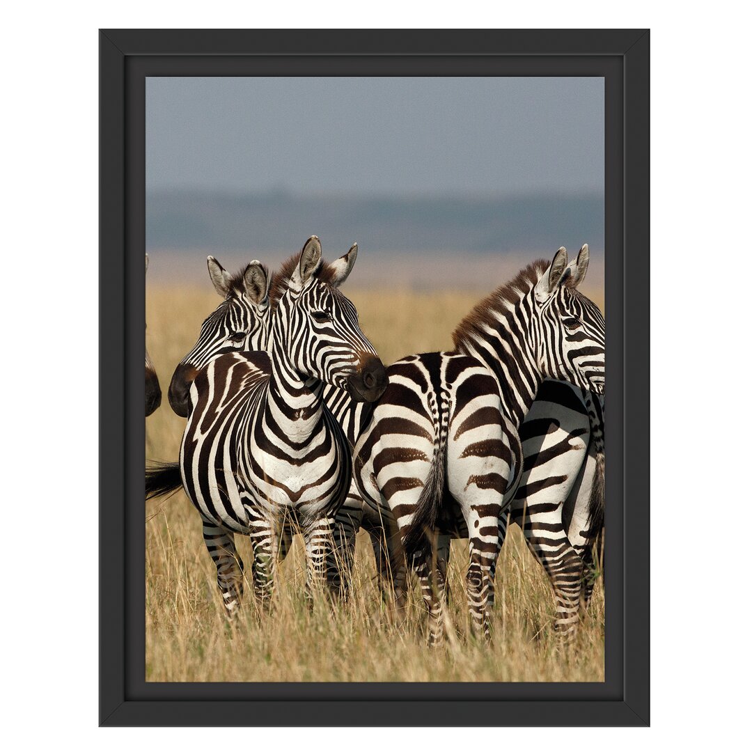 Gerahmtes Wandbild kleine Zebrahorde