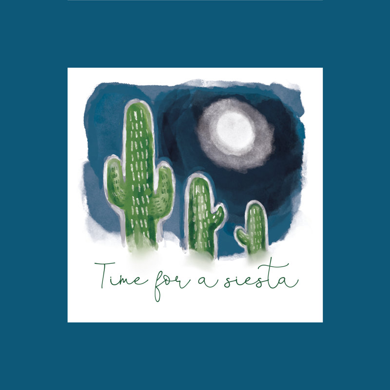 Siesta Cactus - Wrapped Canvas Print, 30cm H x 30cm W x 3.8cm D