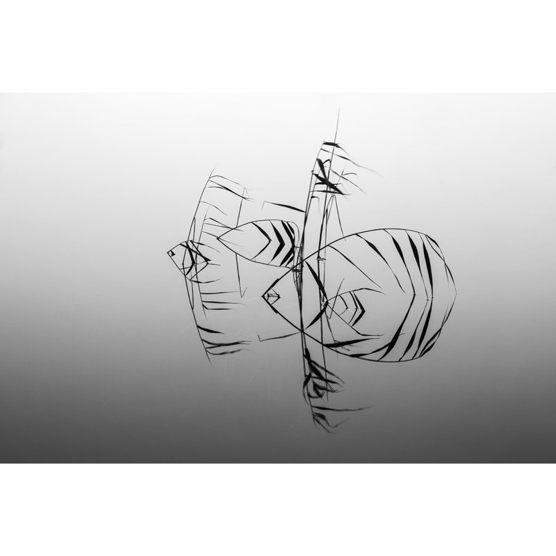 Wrapped Canvas Print, 50.8 cm H x 76.2 cm W