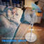 Floor Fan