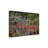 Bolog Bob Langrish Impala Canvas Art-104136056