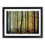 An Enthralling Forest - Framed Print-1442809903-1442809902