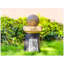Lanterne de jardin d'extérieur avec lampe de paysage à DEL en forme de feuille pour terrasse de jardin