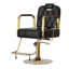 Fauteuil de coiffeur hydraulique à hauteur réglable, fauteuil de salon pivotant, noir-103427647
