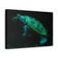 «Terrapin Hunting Terrapin on Hunt», reproduction d'art mural-1206013823