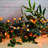 Pham Globe Electric String Lights-826332965