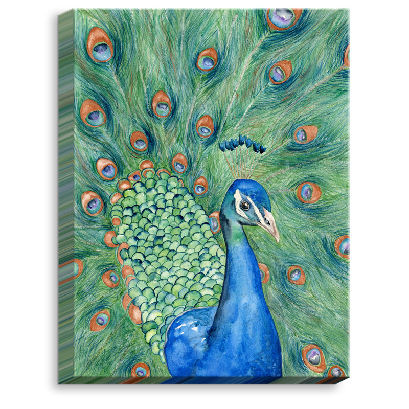 « splendor peacock » par brazen design studio, reproduction d’art sur toile tendue, H 16 po x l 12 po x P 1,5 po