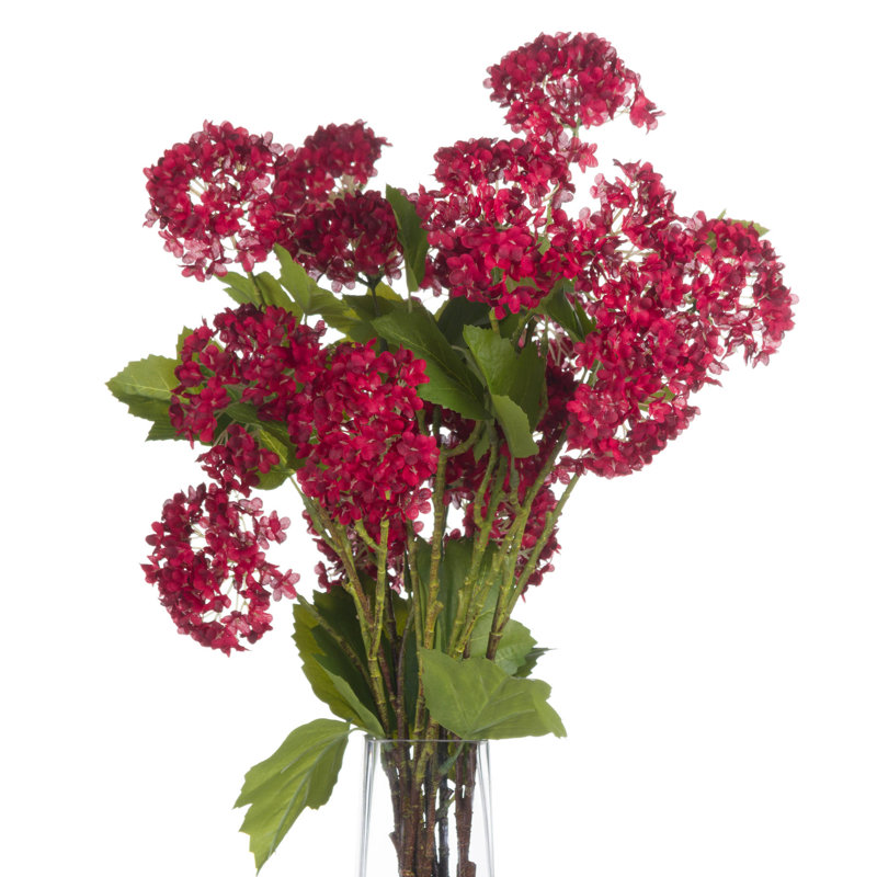 Anastasija Arrangement