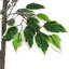 150cm Faux Ficus Tree in Freestanding