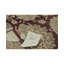 Hand-Knotted High-Quality Area Rug