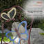 Ensemble bistro Luanne Butterfly