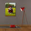 Toile épique Graffiti «Birdie Swing» par Lucia Heffernan, 26 po x 34 po-1050814175