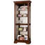 Brigham Lighted Curio Cabinet