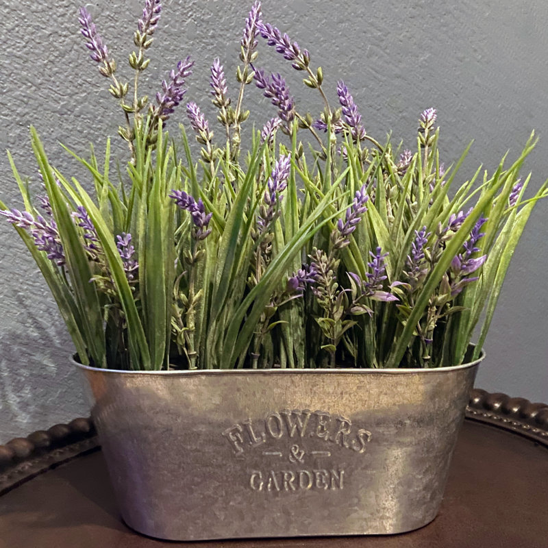 Lavender Arrangement in Galvanized Metal Oblong Pot