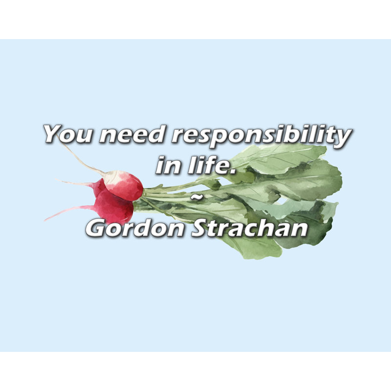Gordon Strachan Citation: Vous avez besoin de responsabilité dans la vie.