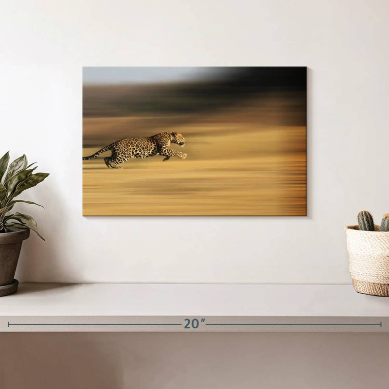 Crowle Leopard Sprint, 8" H x 12" W