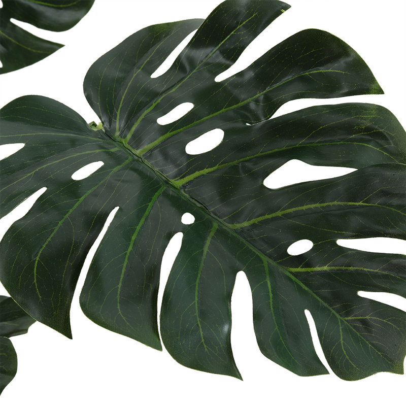 Plant, 150cm H x 50cm W x 50cm D