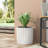 PLANTER-124449303