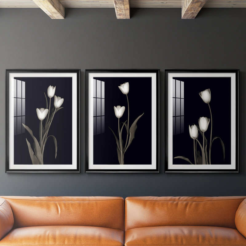 Tulipe Pose I - Impression encadrée sur mesure de qualité supérieure - 3 pièces, Noir, H 21 po x l 30 po