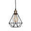 Biddle 2 - Light Black Pendant