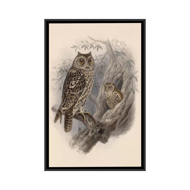 «Tree Owls, 1902», impression sur toile, H 26 po x l 18 po x P 1,5 po, Toile avec cadre noir, Pas de tapis