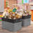 Fabric Cubby Organizer with Handles 1 Pack-974041412