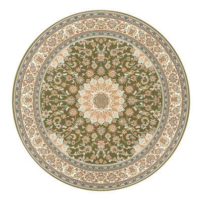 Indoor/Outdoor Traditional Area Rug