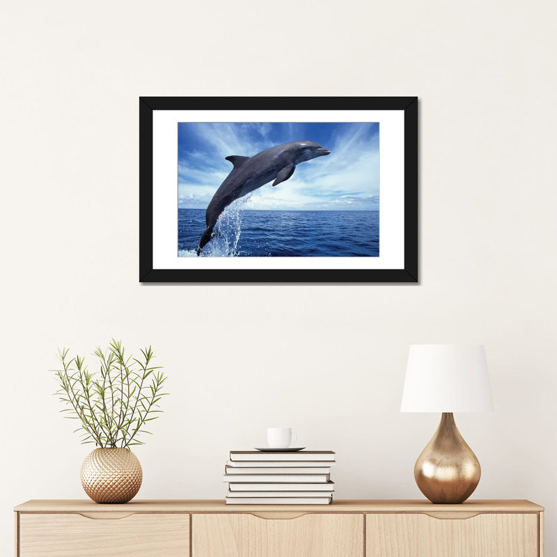 « bottlenose dolphin' », reproduction de photo sur toile, Papier avec cadre noir, H 16 po x l 24 po x P 1 po, Blanc