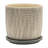 Lorice Stoneware and Ceramic Saucer Planters - Durable, Stylish Design - Set of 2-1646729356-1681686426-1681686423