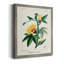 Toile encadrée de qualité supérieure Turpin Tropical Botanicals VI - prête à être accrochée-1674340682-1674340725