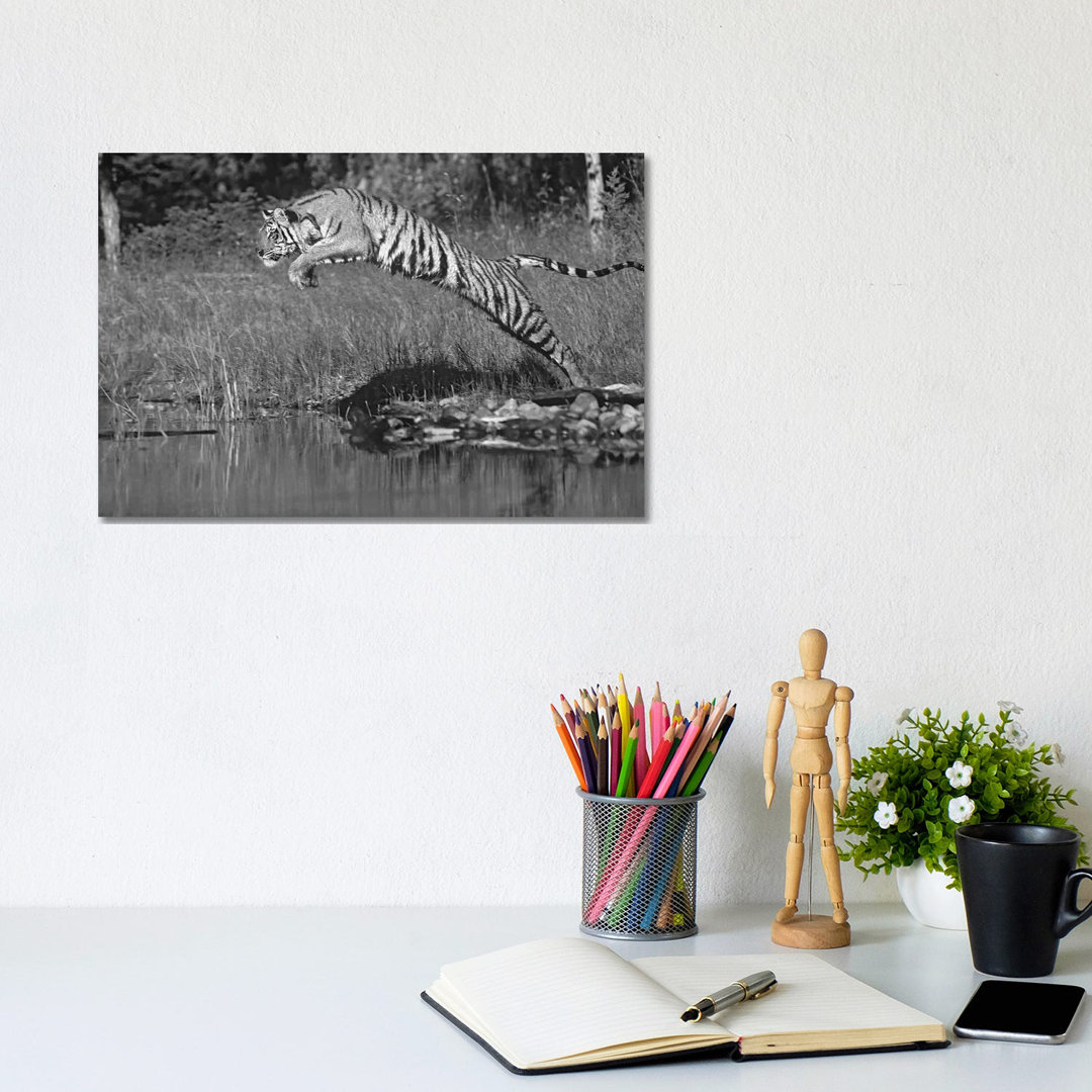 Sibirischer Tiger Leaping Across River, Asien von Tim Fitzharris - Giclée auf Leinwand ohne Rahmen