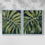Reproduction encadrée Nocturnal Monstera I-Premium - prête à être accrochée - aucun clou requis - aucun clou requis-280901698-280901705