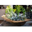 Glass Sphere Bud Vase-768581685