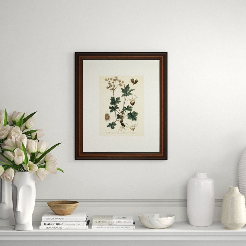 Verde Tinted Botanical I Print