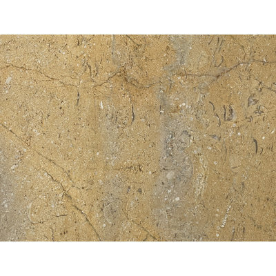 Carreau de marbre 18 po x 18 po Pearl Gold
