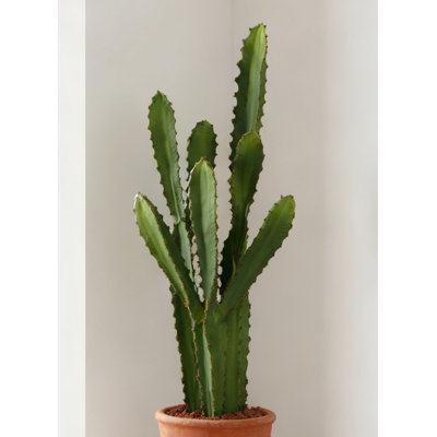  Cactus désert noir en pot noir, plante de cactus artificiel pour décoration intérieure et de bureau moderne, 6 po de diamètre et 27 po de hauteur