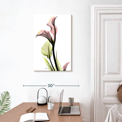 Harnek délicat, lis Calla